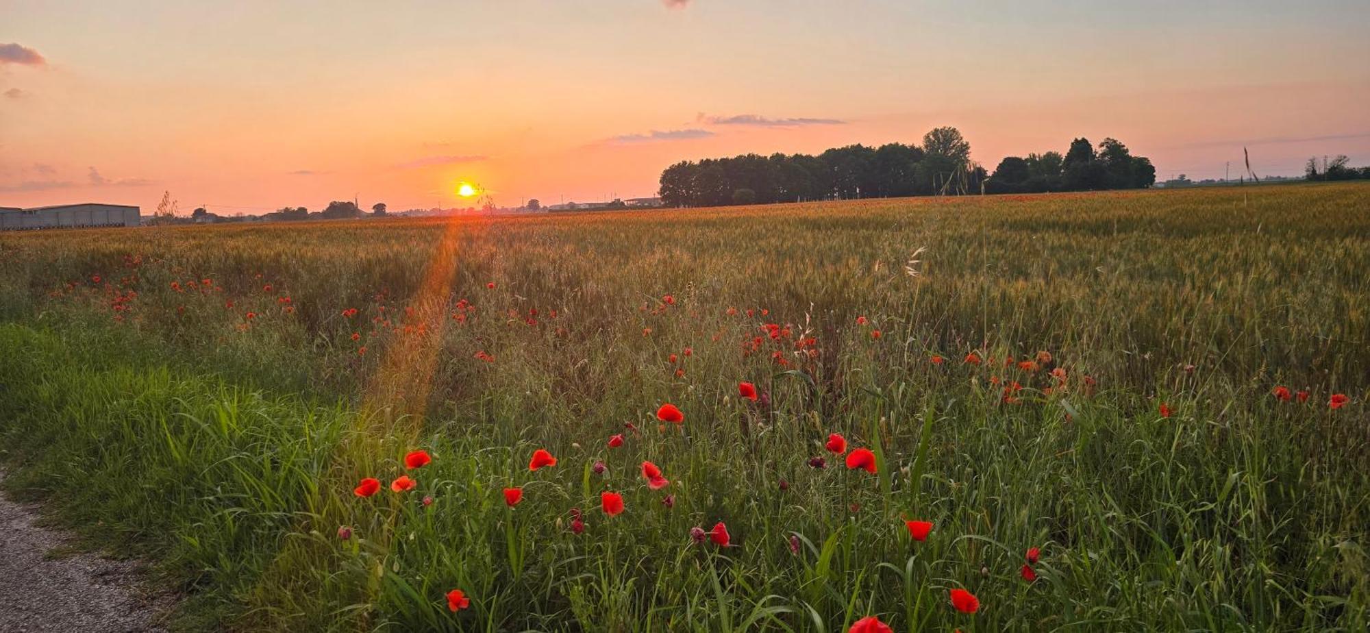 Rb Bed & Breakfast Gaiba Экстерьер фото